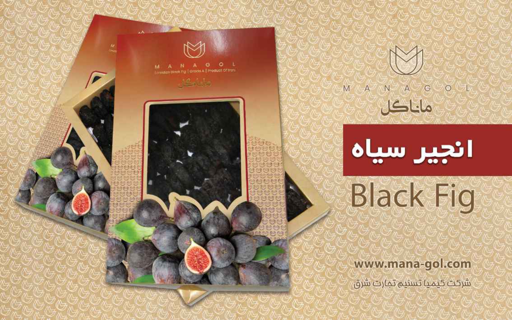 نمونه محصول ۸