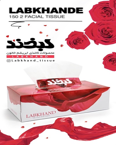 لوگوی محصولات کاغذی ابریشم خاتون