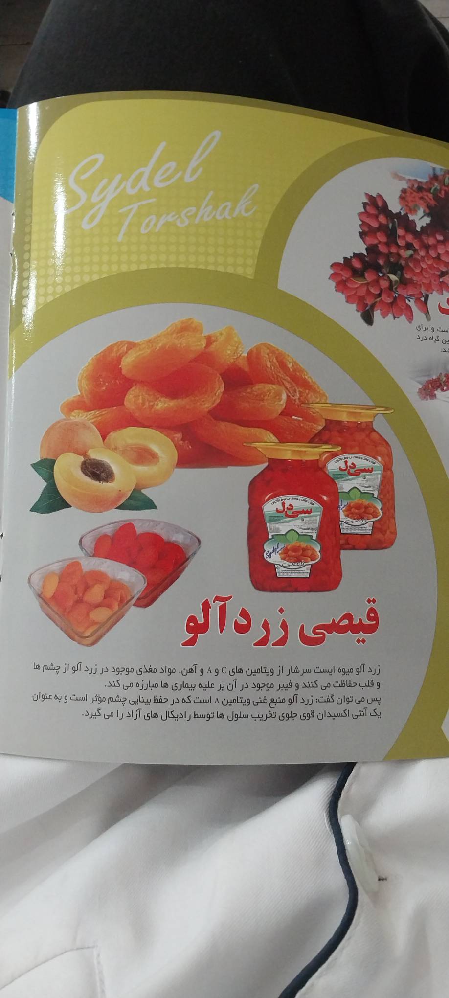 تولید ترشک٬ لواشک