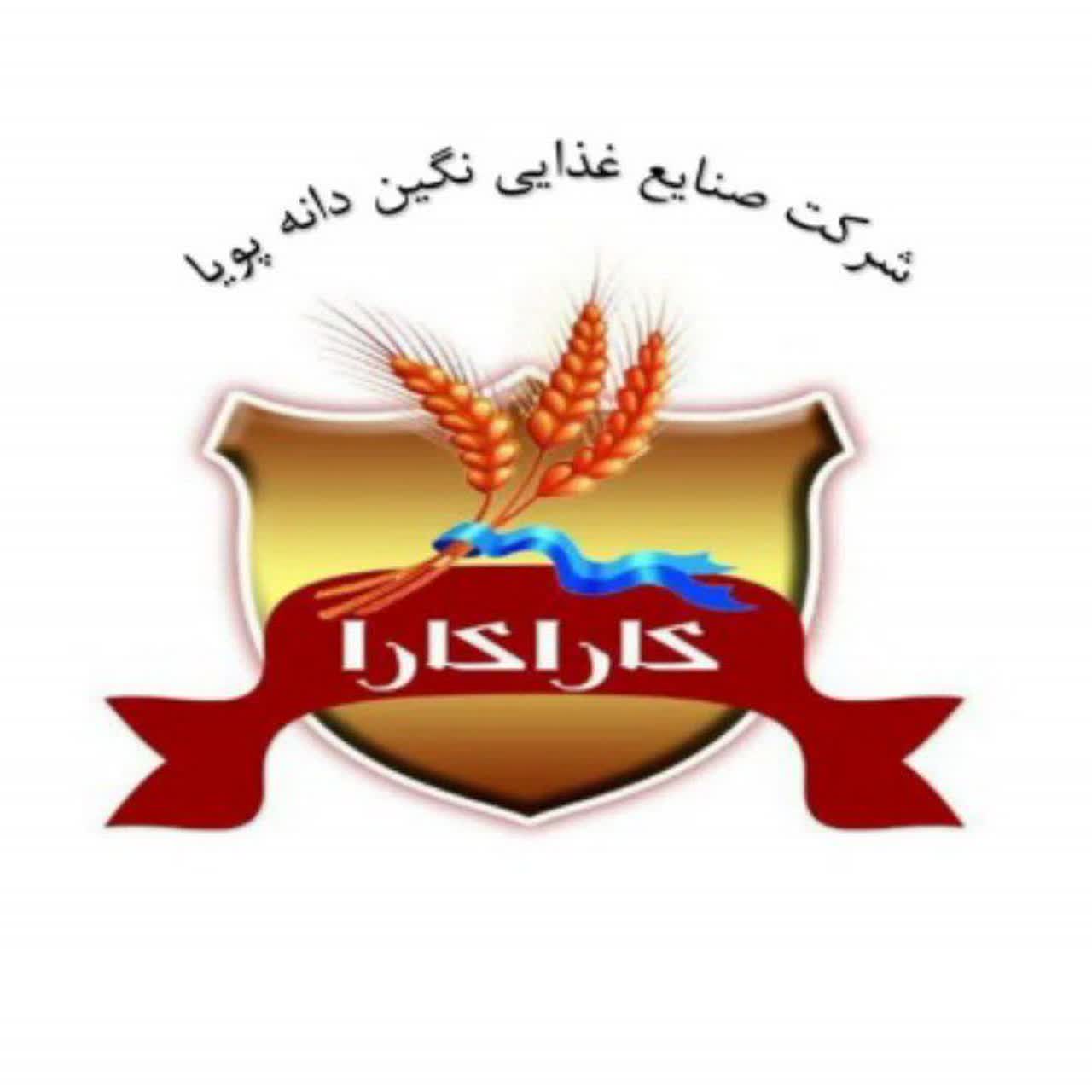 لوگوی صنایع غذایی نگین داده پویا